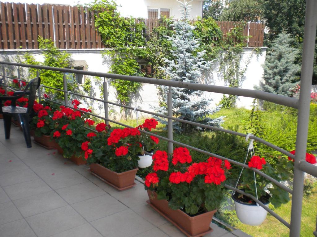 Pension Cluj 외부 사진